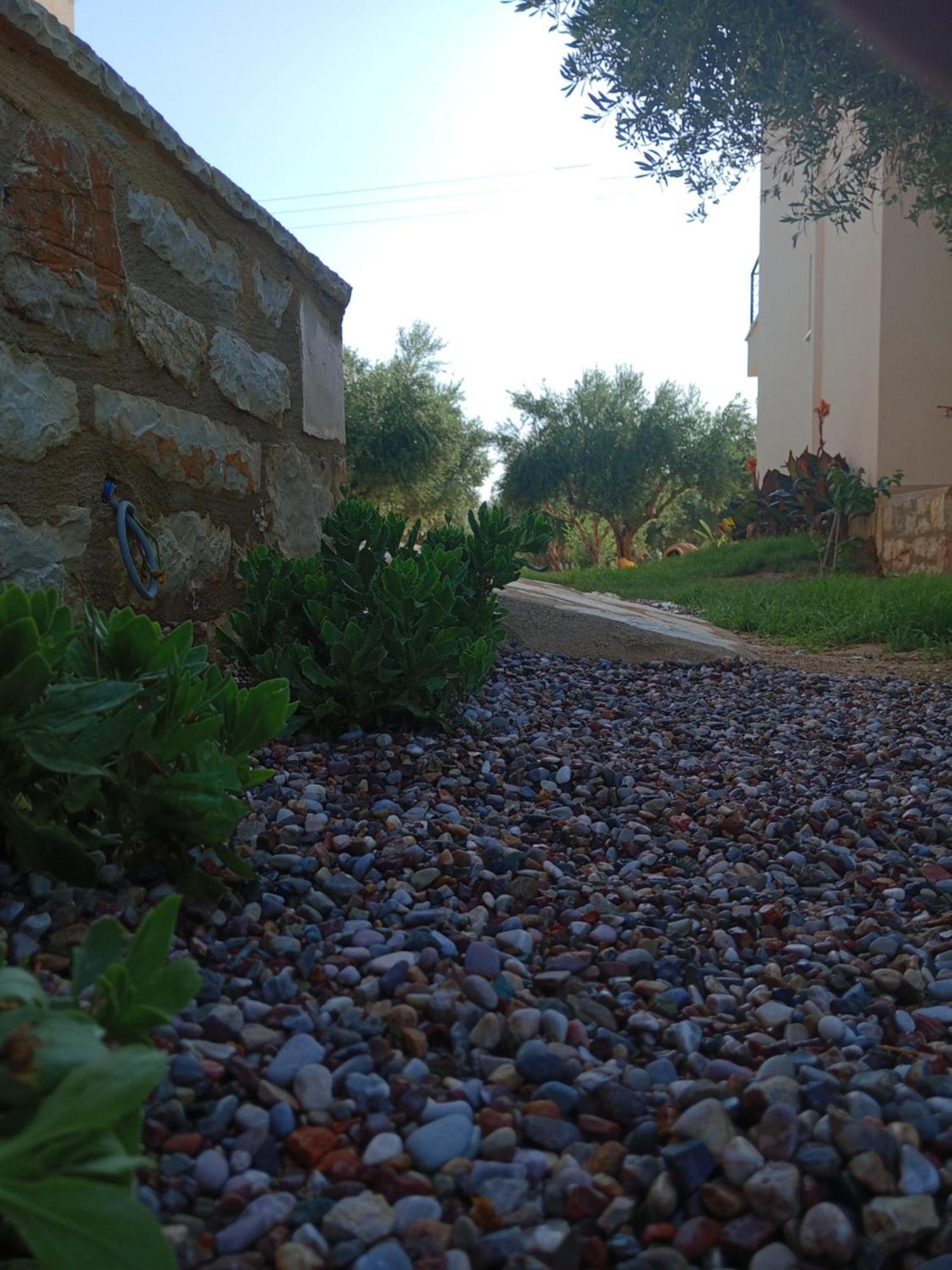 Three Charites Resort يالوفا المظهر الخارجي الصورة