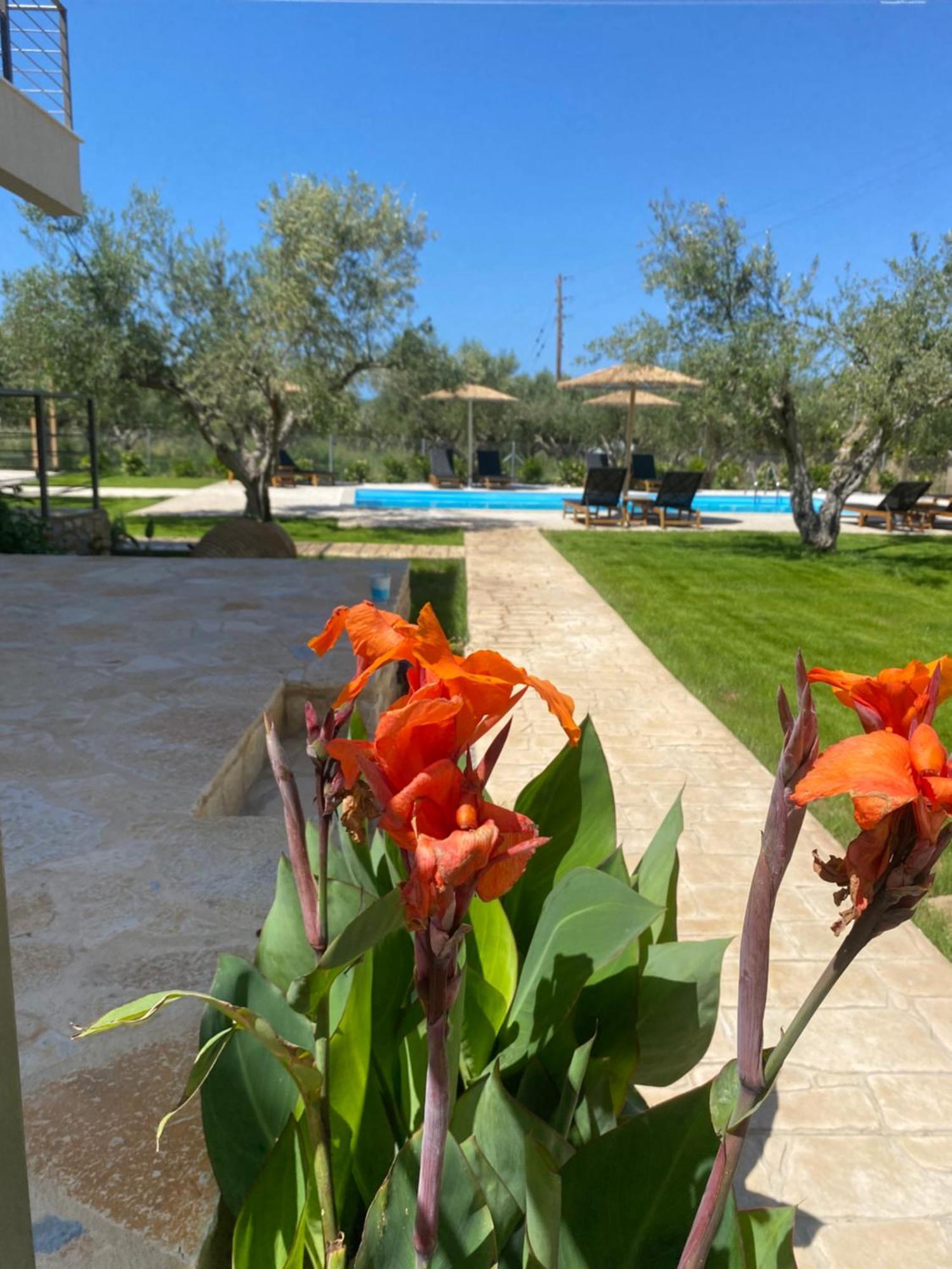 Three Charites Resort يالوفا المظهر الخارجي الصورة