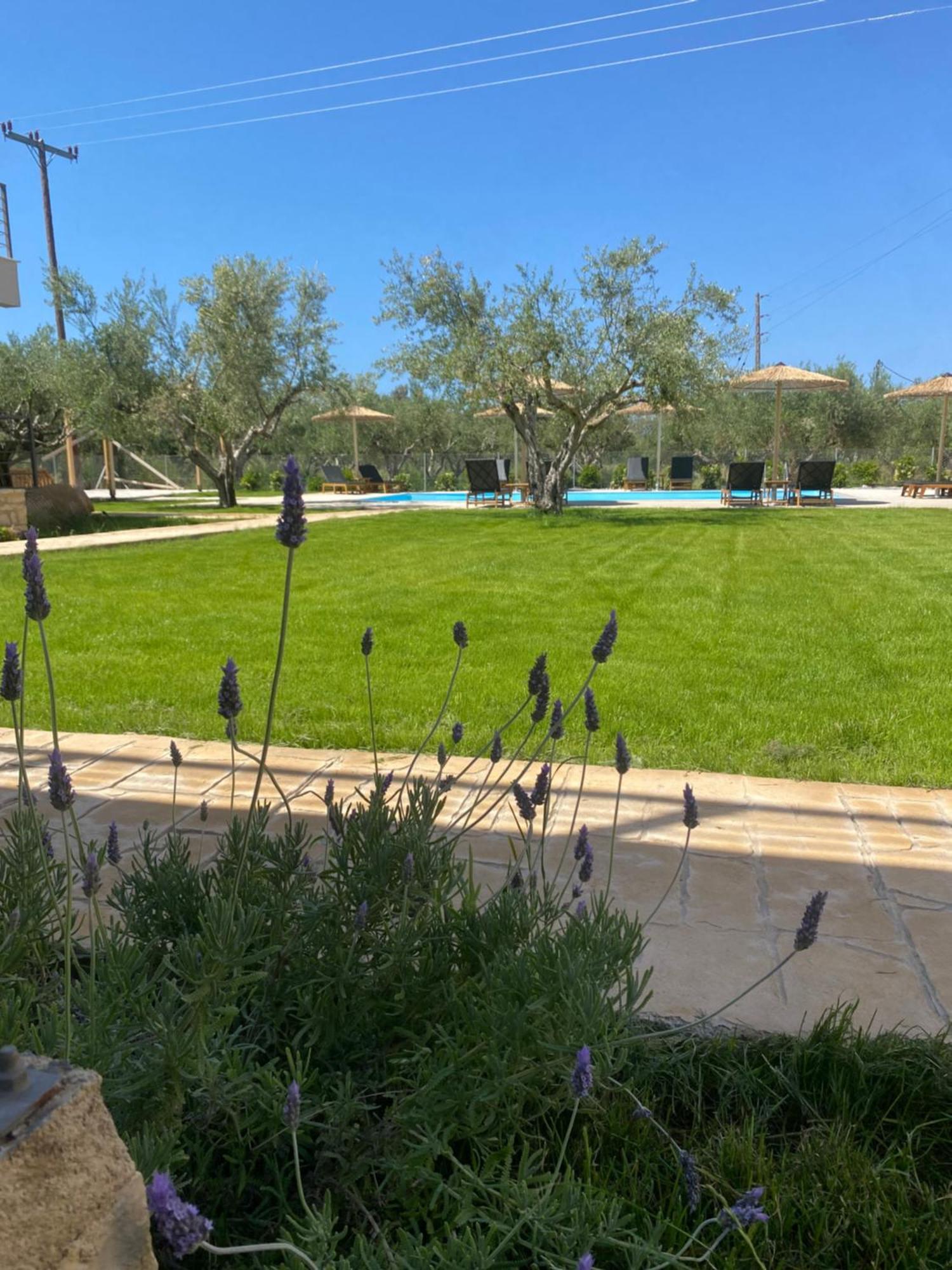 Three Charites Resort يالوفا المظهر الخارجي الصورة